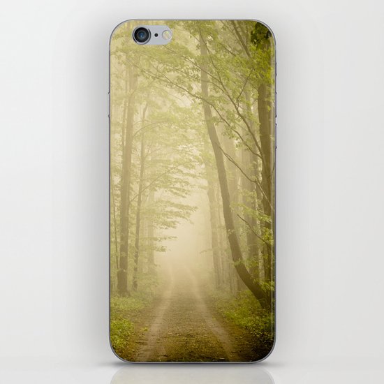 The Road iPhone & iPod Skin