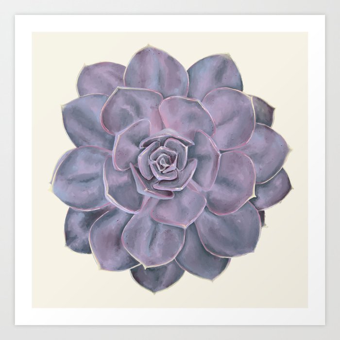 Purple Succulent Flower Hand-Drawn Illustration Art Print
