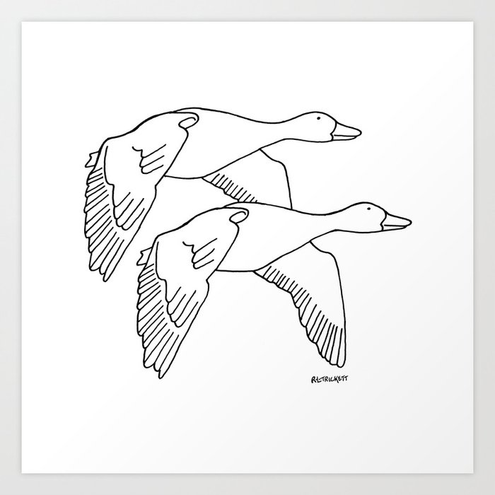 Geese in Flight #2 Art Print