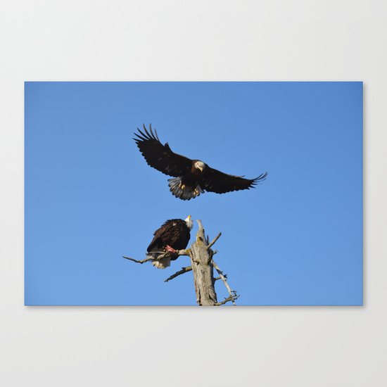 The Battle Begins Canvas Print