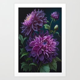 Purple Dahlias  Art Print