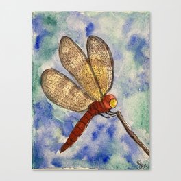 A Dream about a Dragonfly Canvas Print