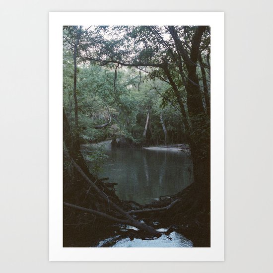 Drabby Swampy Creek Art Print