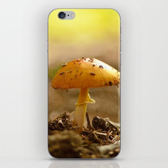 Sunbathing iPhone & iPod Skin