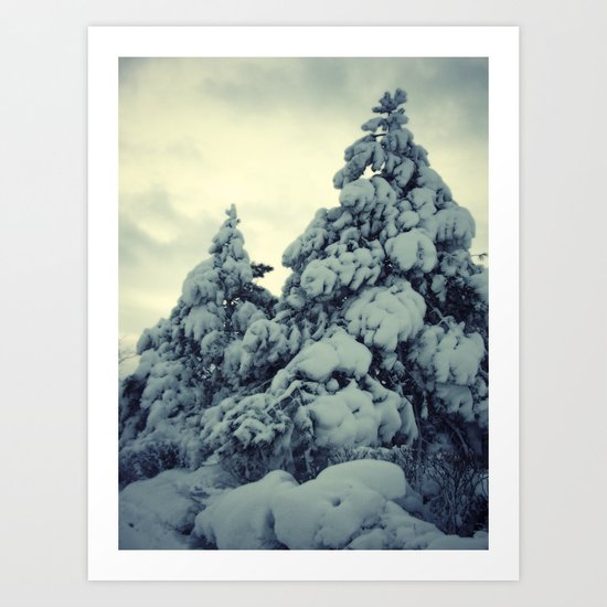 Snow Covered Art Print