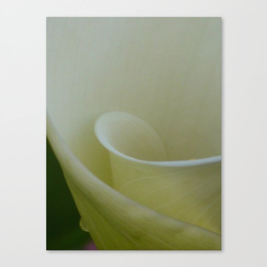 Inside the world Canvas Print