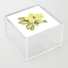 Magnolia Acrylic Box