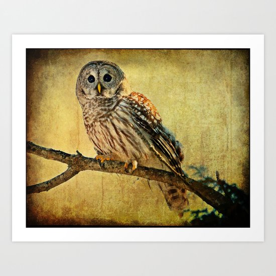 Solitude Stands While Wisdom Draws Near Art Print