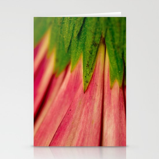 Petals of Pink Stationery Cards