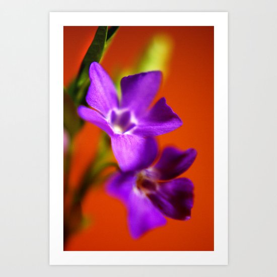 orange and purple Art Print