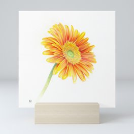 Yellow Orange Gerbera Mini Art Print