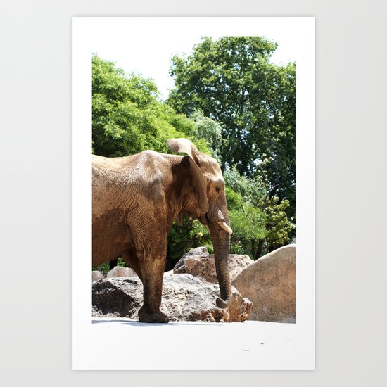Basking #4 Art Print