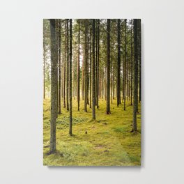 Through the trees Metal Print