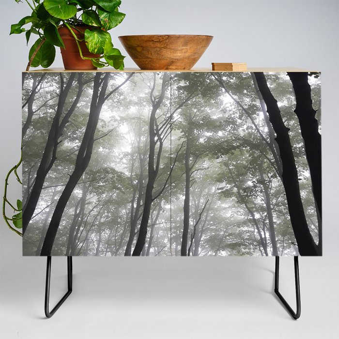 Misty forest autumn outdoors Credenza