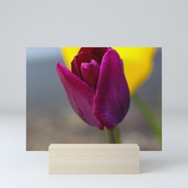 Tulip Mini Art Print