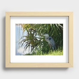Shady Blue Heron Recessed Framed Print