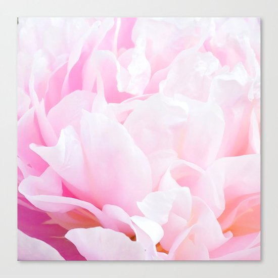 CREAMY PINK FLOWER Canvas Print