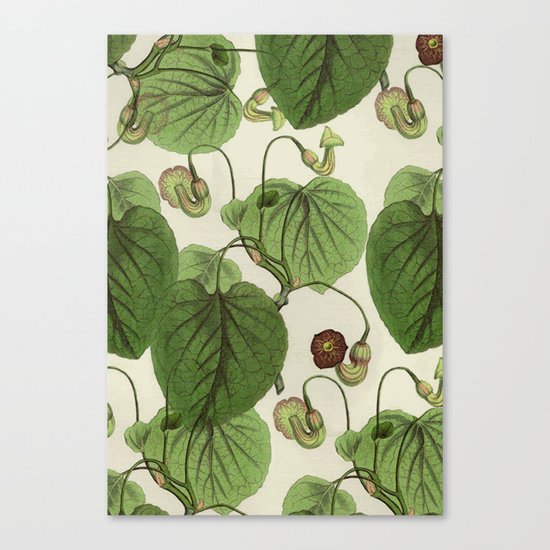Green leaves Canvas Print