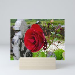 She, a Rose Mini Art Print