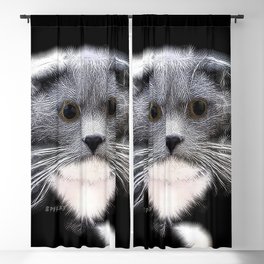 Spiked Grey and White Cat Blackout Curtain