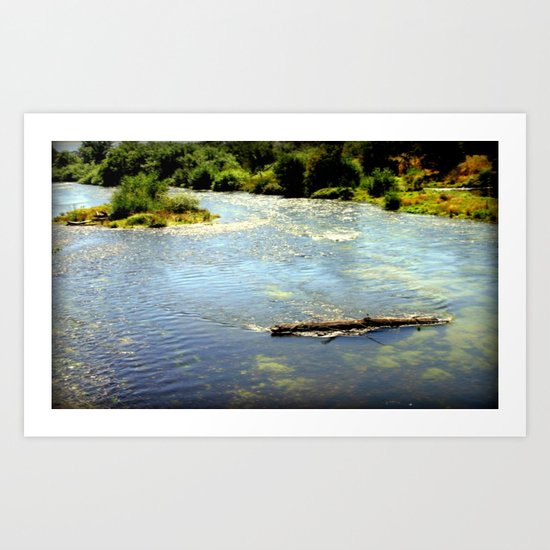 Floating Log Art Print