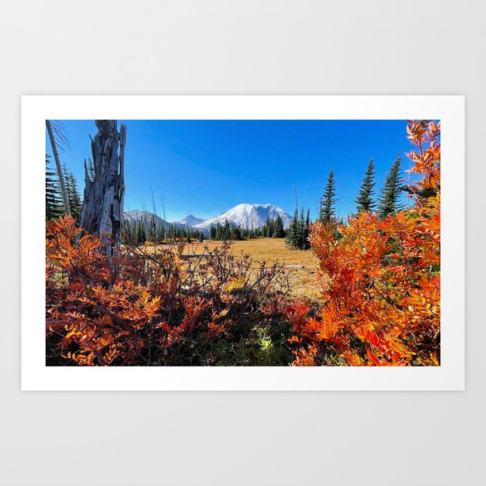 Grand Park, Mt. Rainier, Scenic Landscape, Wide Angle Art Print