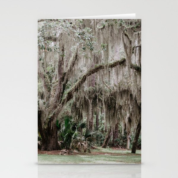 tree trunk in the forest	 Stationery Cards