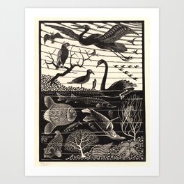 "The Fifth Day of Creation" by M.C. Escher Art Print