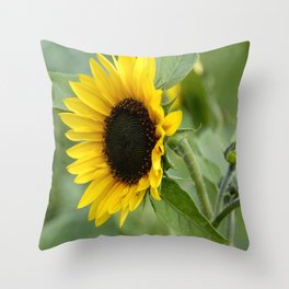 Sunflower Day Throw Pillow