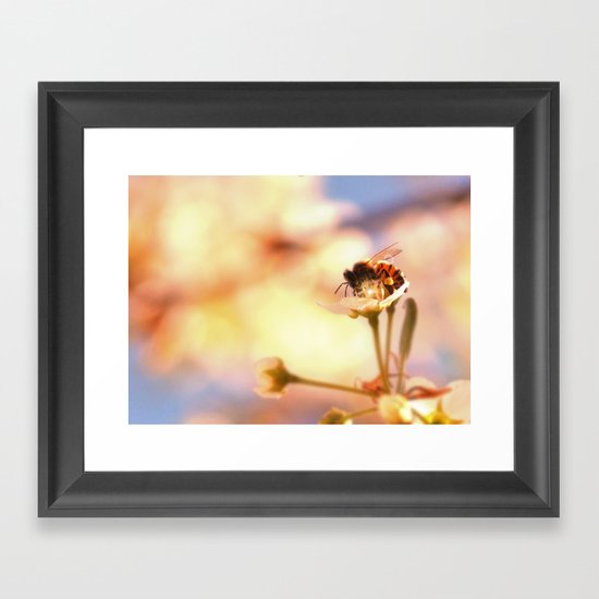Honey herder Framed Art Print