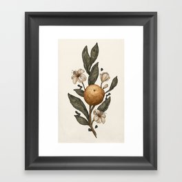 Clementine Framed Art Print