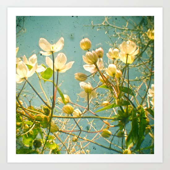 Look Up and You Will See Art Print