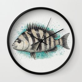 "Sheepshead Splash" by Amber Marine ~ Watercolor Fish Painting (Copyright 2016) Wall Clock