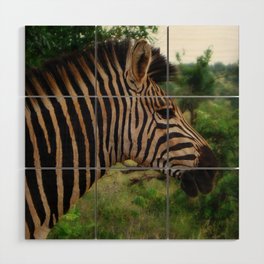 South Africa Photography - A Zebra In The Forest Wood Wall Art