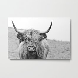 Close-up view of a highland cattle Metal Print