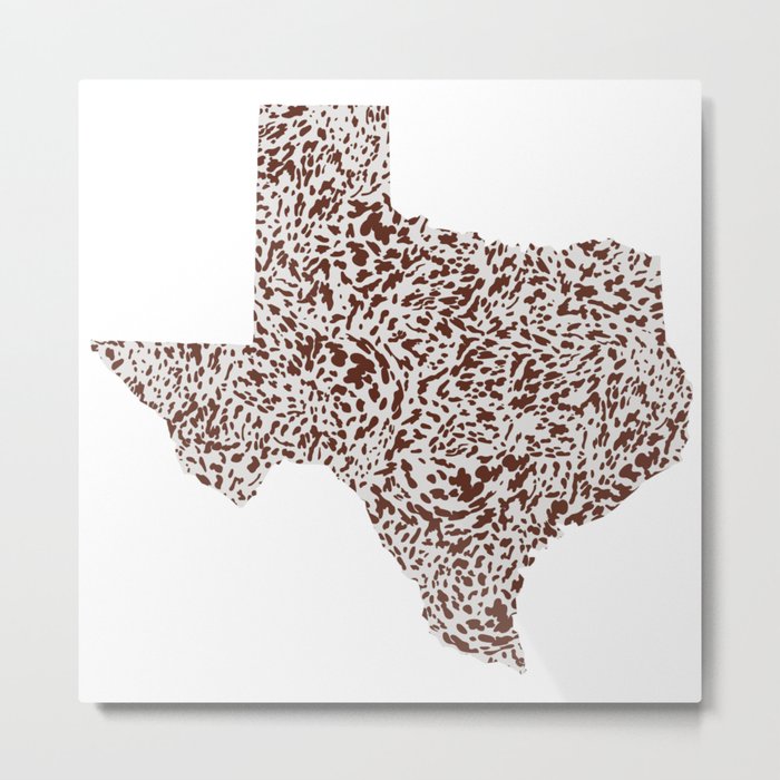 Texas Appaloosa Hide Metal Print