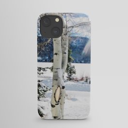White Birch Tree in Snow iPhone Case