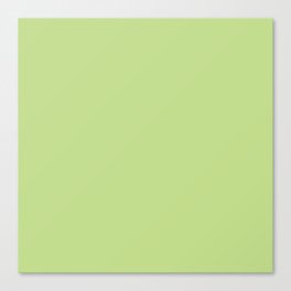 Marsh Fern Green Canvas Print