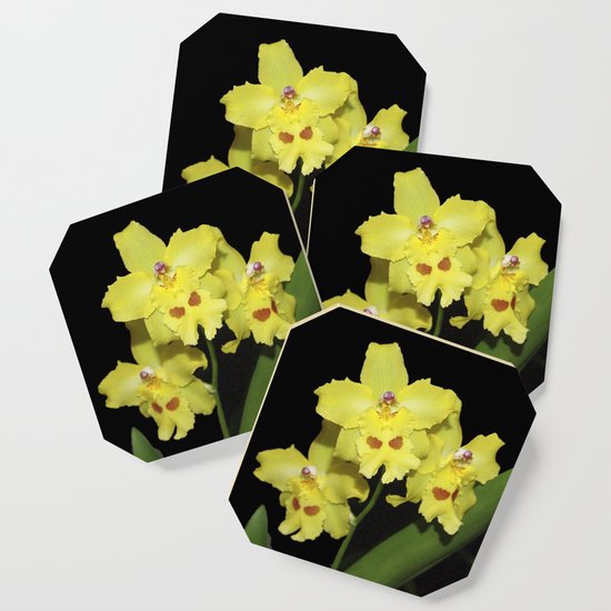 Glorious Golden Orchid Odontonia Yellow Parade Alpine Coaster By Rvjdesigns Society6