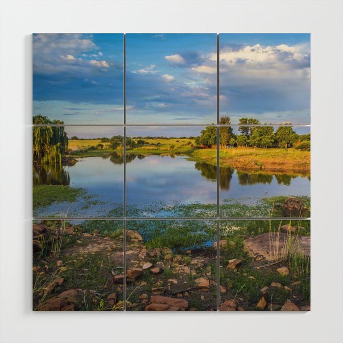 South Africa Photography - A Pond Surrounded By Yellow Fields Wood Wall Art