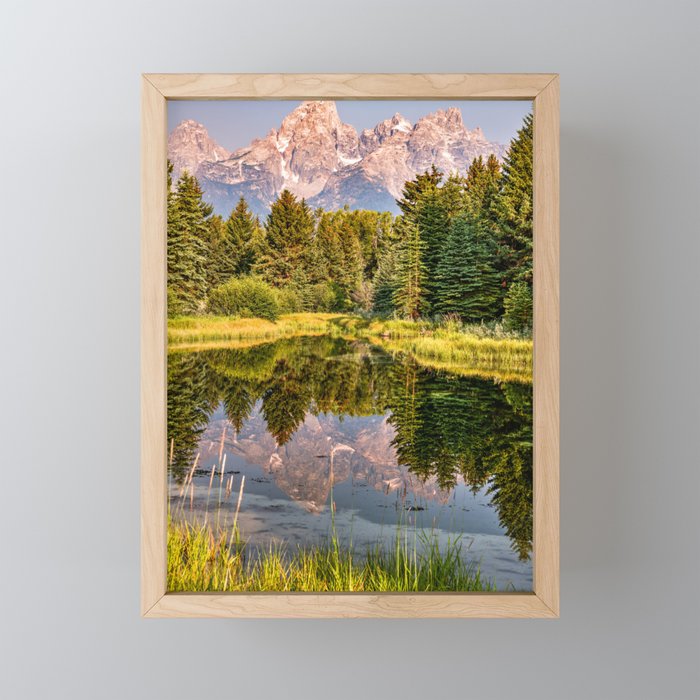 Grand Teton Reflections In The Beaver Ponds At Schwabacher Landing Framed Mini Art Print