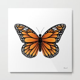 Monarch Butterfly Metal Print | Digital, Colored Pencil, Graphite, Spring, Butterflies, Transformation, Monarca, Nature, Insects, Orangeandblack 