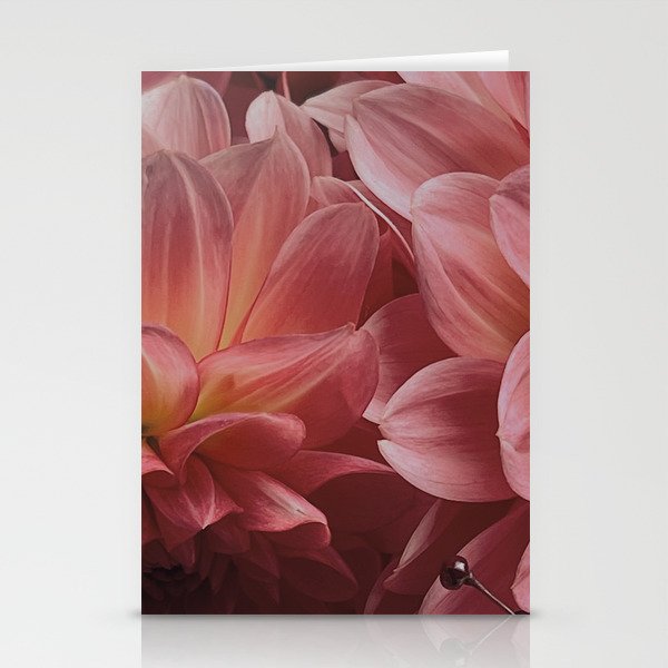 Blush Flowers Stationery Cards