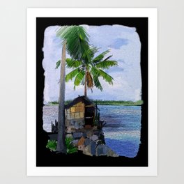 Kerala Coconuts - 186 Art Print