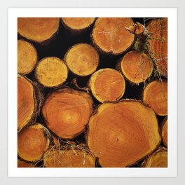 Spurs Lumber Pile  Art Print