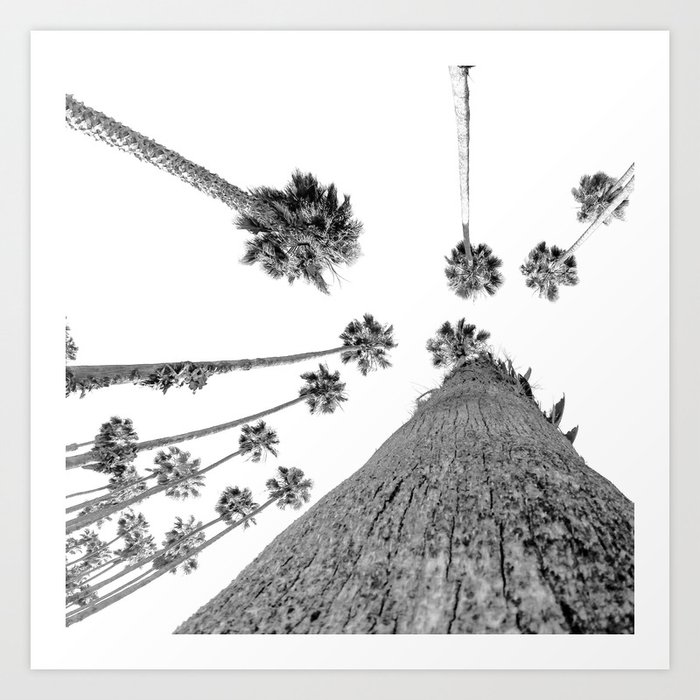 {2 of 2} Hug a Palm Tree // Tropical Summer Black and White Sky Art Print Art Print