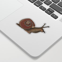 Garden Snail Sticker