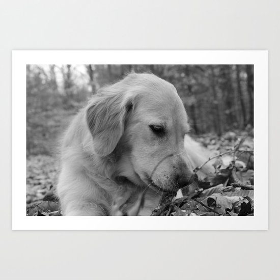 Classic Dog Art Print