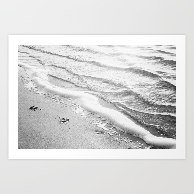 Black And White Beach Ocean Photography Dog Paw Prints Grey Water Ripples Gray Sea Coastal Photo Art Print By Carolyncochrane Society6