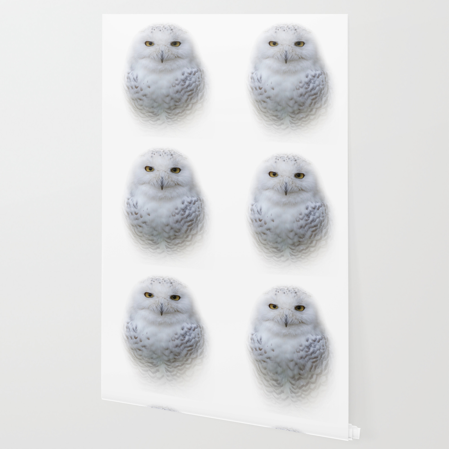 Dreamy Encounter With A Serene Snowy Owl Wallpaper By